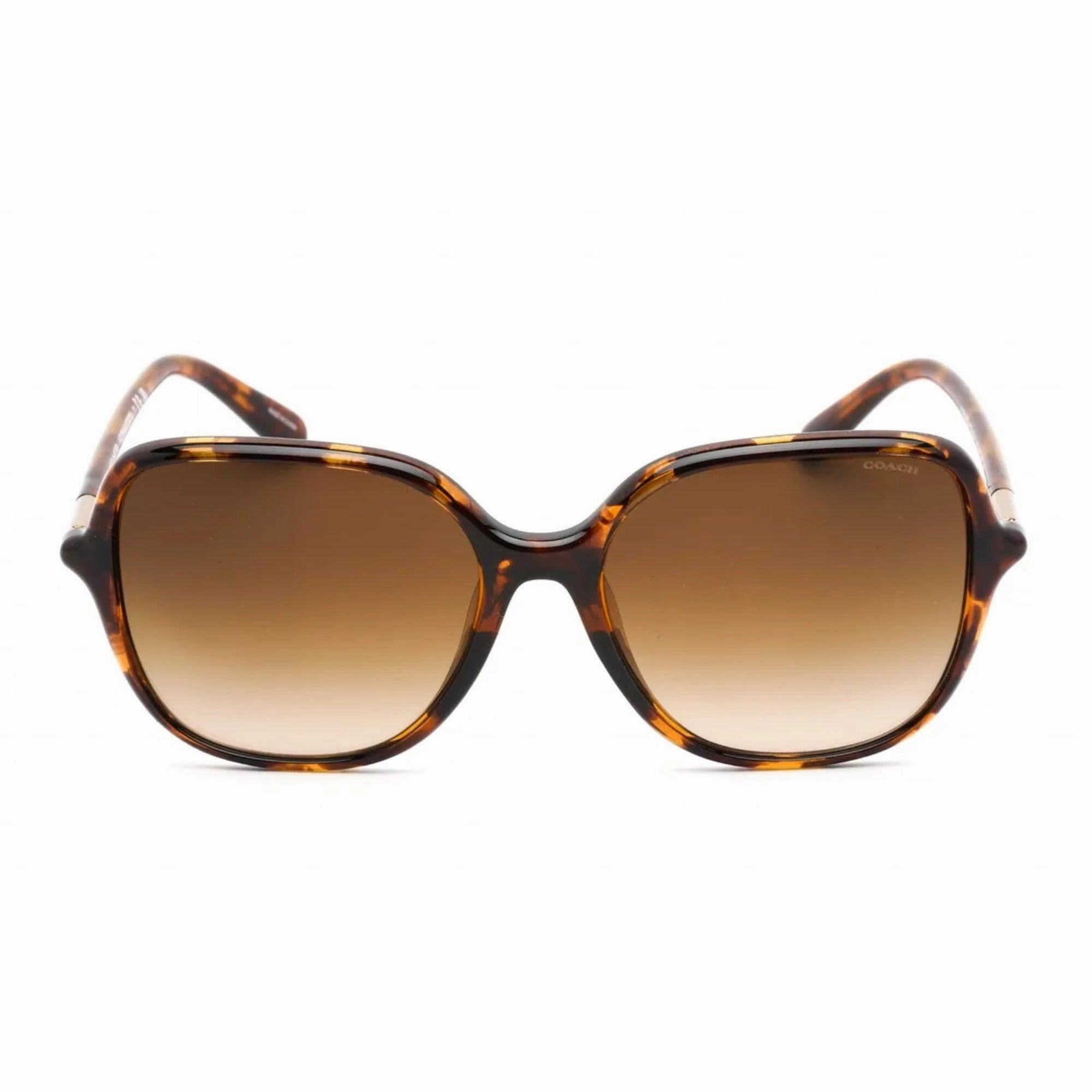 Coach Women's Sunglasses - Dark Tortoise Oversized Shaped Frame | 0HC8344U 51201355