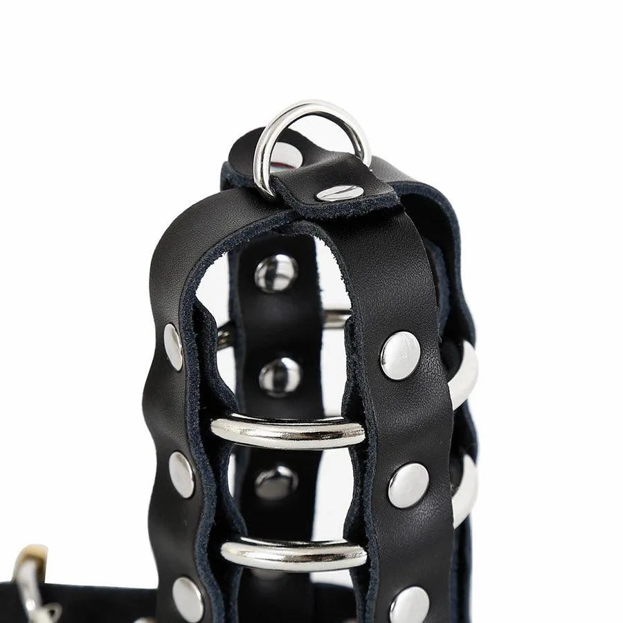 Leather Male Chastity Cage