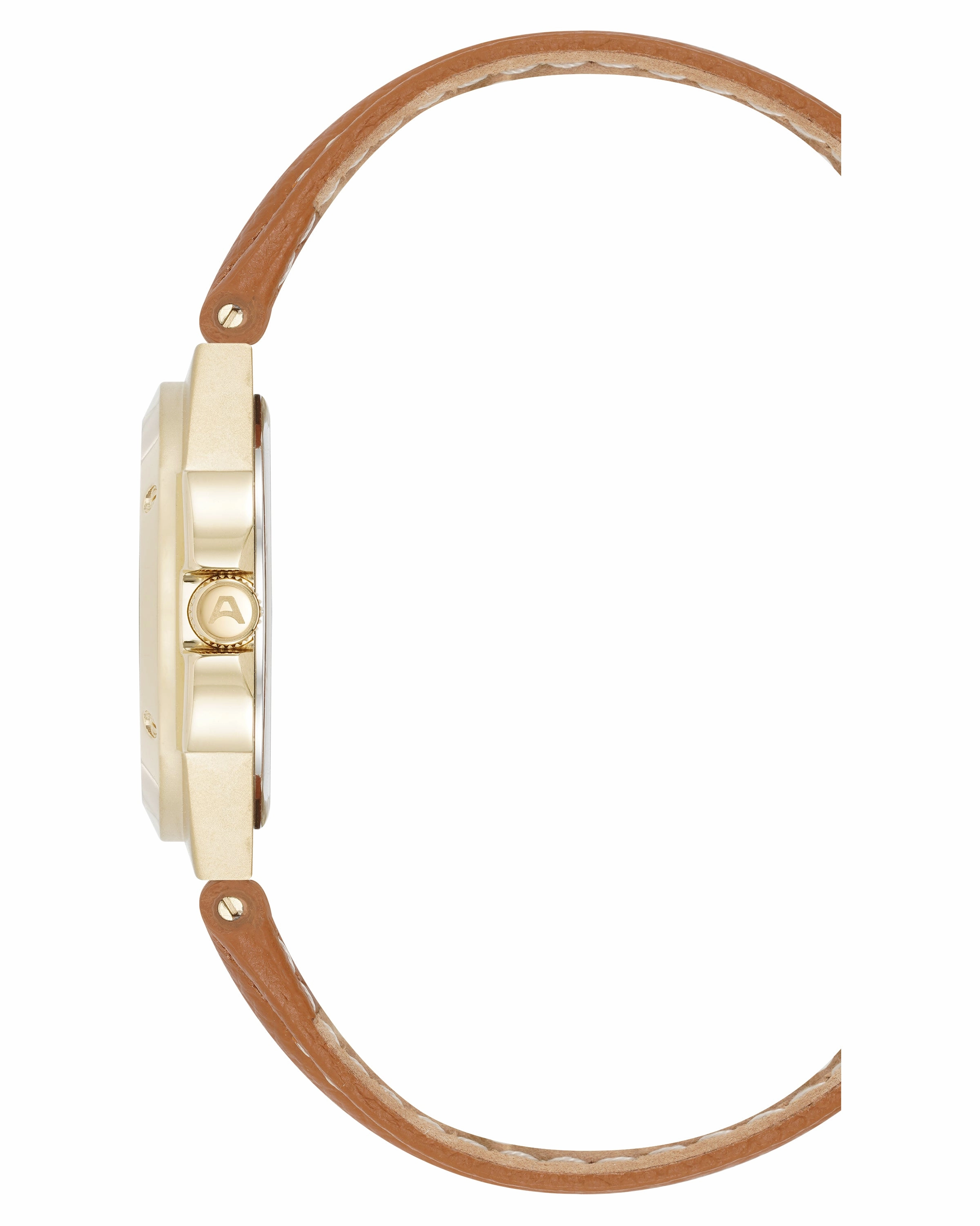 Parker™ | 38mm, Gold/Brown/Silver